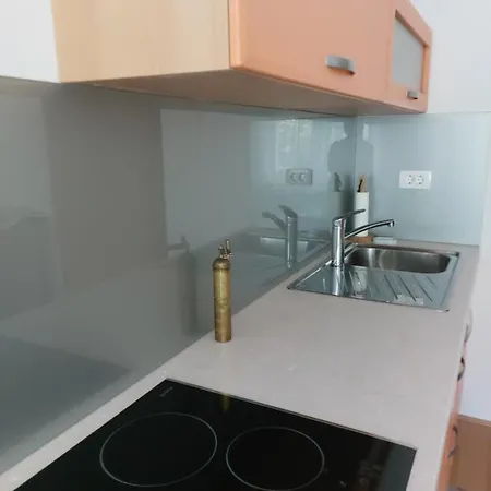 Apartma Sava-stol 公寓 耶塞尼采