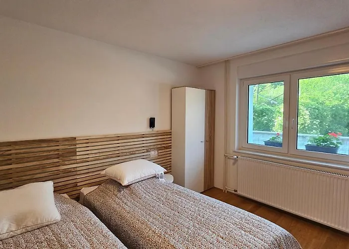 Apartma Sava-stol جيسينيس